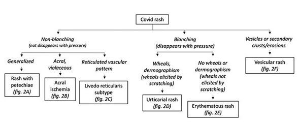 Tipos de lesiones en la piel asociadas al coronavirus