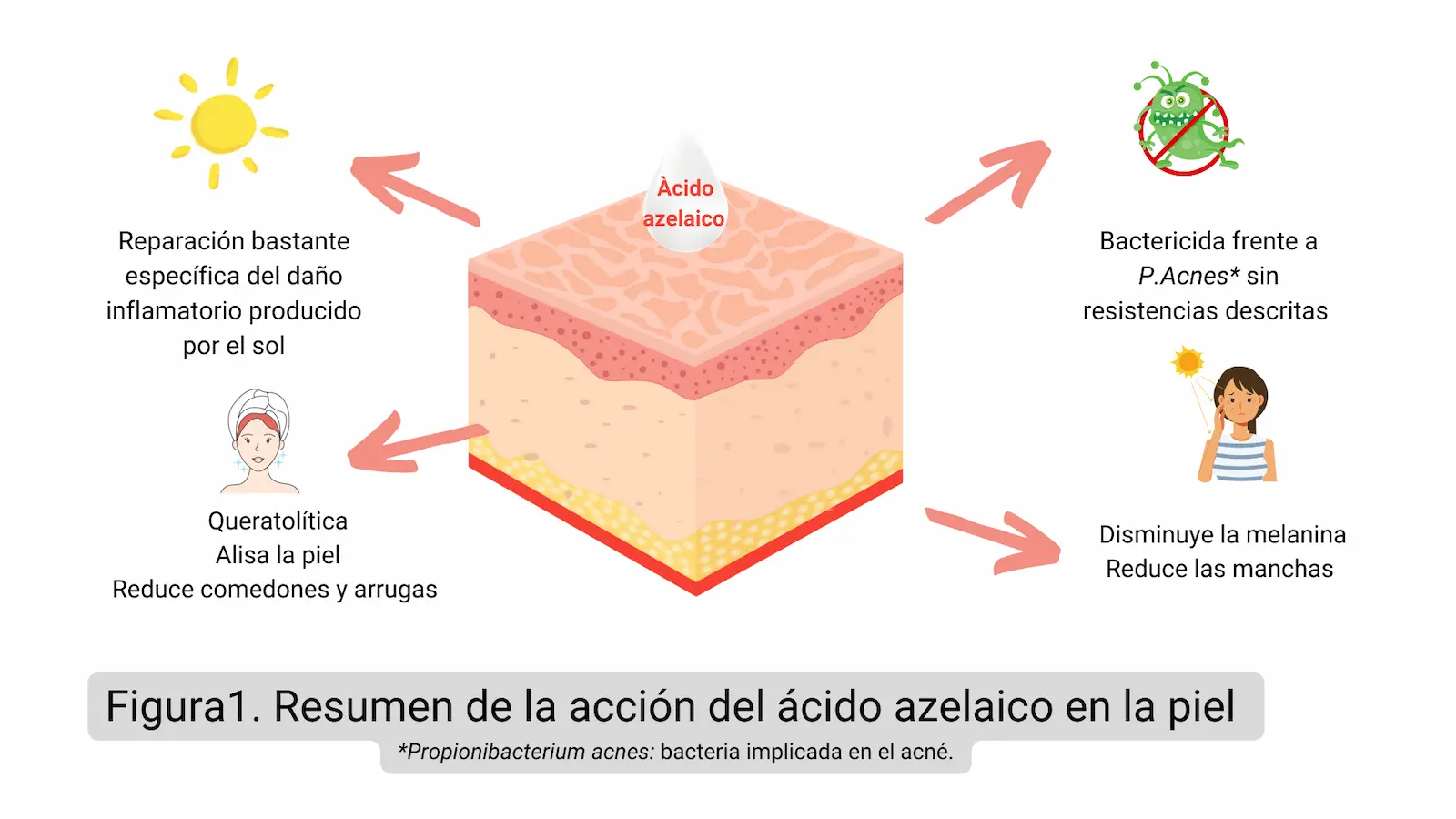 Acción del ácido azelaico en la piel