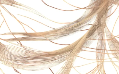 Categoría Consejos Del Dermatólogo 5 Fibras capilares: una solución cosmética para camuflar la alopecia