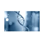 Polinucleótidos en el tratamiento de enfermedades de la piel