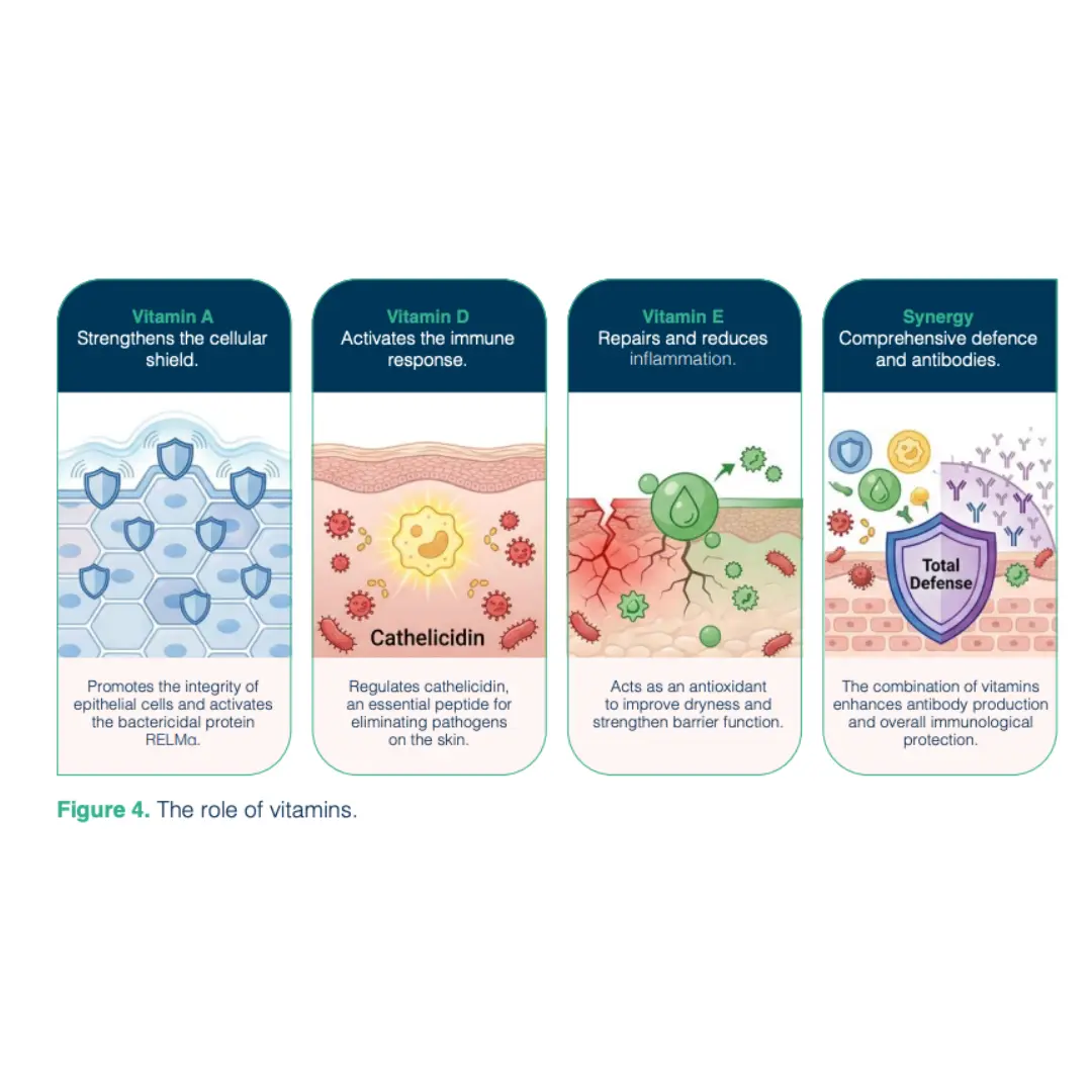 Libro microbiota y piel